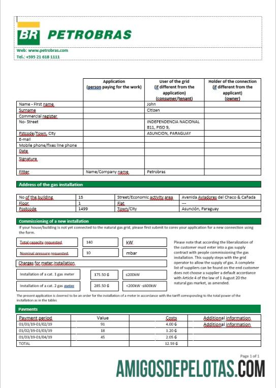 Paraguai Petrobras Paraguai Companhia de Operações e Logística de Gás em formato Word exemplo